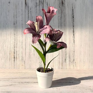 Nhân Tạo Hoa Lily Chậu Cây Cảnh Giả Hoa Lụa Trang Trí Nhà Thẩm Mỹ Văn Phòng Bàn Làm Việc Thực Tế Sống Động Như Thật Trong Nhà Quà Tặng Trang Trí 43cm Lớn