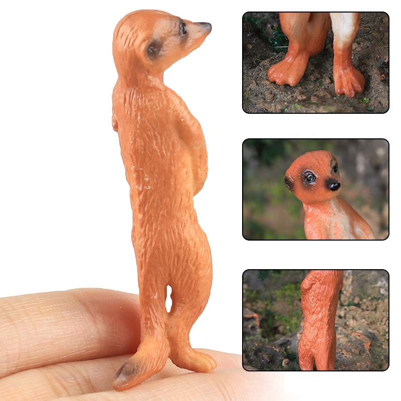 Đồ chơi mô phỏng sa mạc rắn động vật hoang dã: mô hình Mongoose xám đầm lầy đuôi mịn, nhận thức cho trẻ em