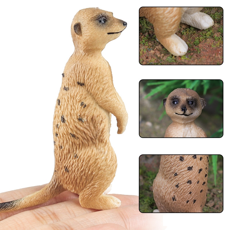 Đồ chơi mô phỏng sa mạc rắn động vật hoang dã: mô hình Mongoose xám đầm lầy đuôi mịn, nhận thức cho trẻ em