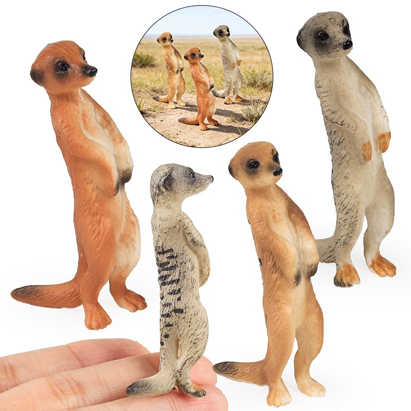 Đồ chơi mô phỏng sa mạc rắn động vật hoang dã: mô hình Mongoose xám đầm lầy đuôi mịn, nhận thức cho trẻ em