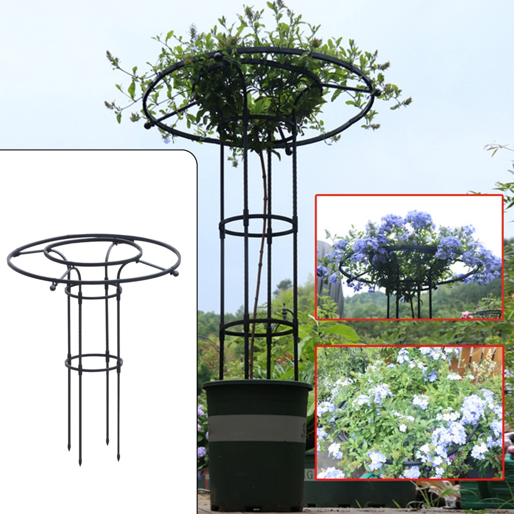 Vườn Obelisk Trellis Ngoài Trời Hoa Hỗ Trợ Lồng Bền Đa Năng