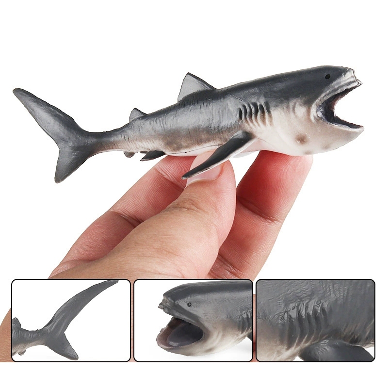 Trẻ Em Mô Phỏng Chắc Chắn Động Vật Biển Mô Hình Đồ Chơi Cá Voi Cá Mập Megalodon Hổ Cá Mập Quà Tặng Giáo Dục Đồ Trang Trí