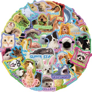 52 Chiếc Hoạt Hình Dễ Thương Động Vật Dán Vinyl Chống Thấm Nước Hành Lý Đàn Guitar Laptop Kid Sticker DIY