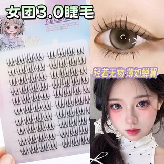 【Hàng có sẵn】💖💖Lông mi giả hình chữ U, loại hộp mềm, 10/30 hàng, phong cách nhóm nhạc nữ Hàn Quốc, không cần keo 3.0