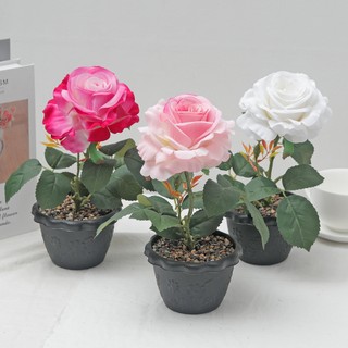 Nhân Tạo Hoa Hồng Chậu Cây 12cm Lớn Giả Hoa Lụa Cây Cảnh Nhà Phòng Trang Trí Bàn Làm Việc Thẩm Mỹ Đám Cưới Valentine Quà Tặng Trang Trí