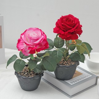 Nhân Tạo Hoa Hồng Chậu Cây 12cm Lớn Giả Hoa Lụa Cây Cảnh Nhà Phòng Trang Trí Bàn Làm Việc Thẩm Mỹ Đám Cưới Valentine Quà Tặng Trang Trí