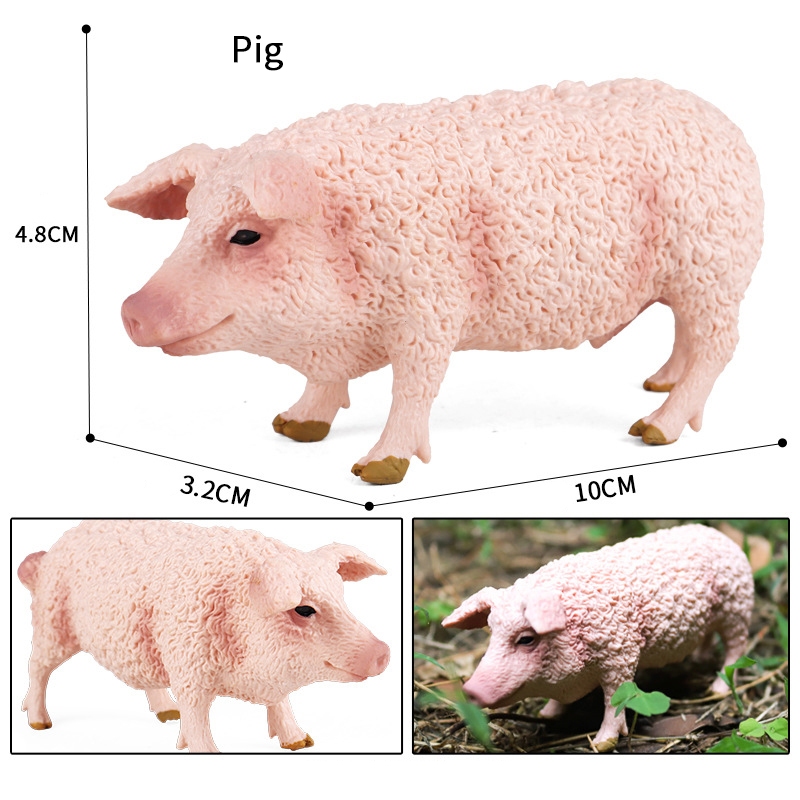 Mô phỏng gia cầm mô hình động vật lợn rừng dầu hoa lợn Việt lợn con nhím trẻ em đồ chơi nhận thức
