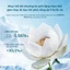 【Trần Kiều 96 livestream】Florasis (Hoa Tây Tử)Cushion Chống Nắng Rạng rỡ tự nhiên 13g SPF50+ PA++++ Chống nắng, che khuyết điểm, lâu trôi không xuống tông