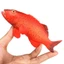 Đồ chơi mô phỏng mô hình sinh vật biển rắn East Star Grouper red Grouper Quà tặng trẻ em