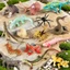Rừng Bò Sát Mô Hình Mô Phỏng Cung Điện Thằn Lằn Tắc Hàu Ốc Salamander Khổng Lồ Thằn Lằn Bọ Cạp Centipede Ô Thằn Lằn