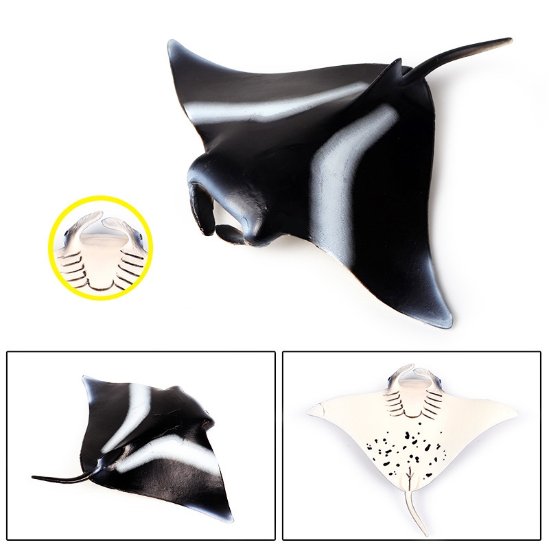 Manta Ray Chắc Chắn Mô Phỏng Động Vật Đại Dương Mô Hình Quỷ Cá Manta Cá Sinh Vật Biển Ray Mô Hình Trẻ Em Nhận Thức Đồ Chơi