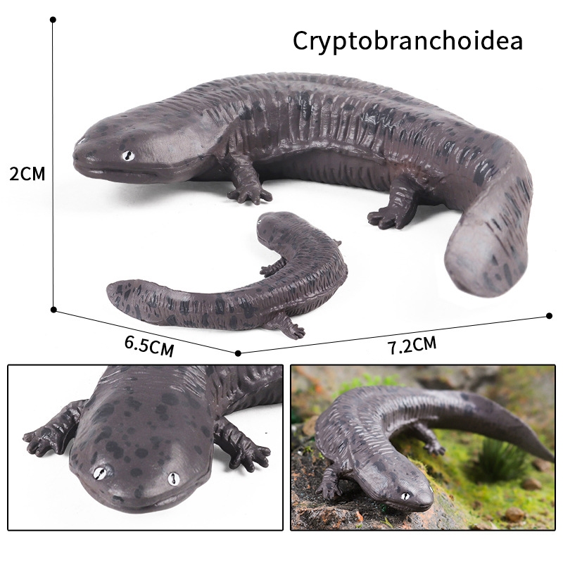 Cryptobranchodee Mô phỏng lưỡng cư mô hình rắn tĩnh búp bê cá ớt núi cá khổng lồ kỳ lamander trẻ em nhận thức đồ chơi cát bàn trang trí