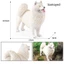 Trẻ em rắn lớn mô hình chó mô phỏng Samoyed chó thú cưng chó trang trí nhà đồ chơi nhựa bức tượng quà tặng