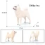 Mô hình động vật mô phỏng rắn cỡ lớn mới Akita và Shiba Inu Đồ chơi mô hình chó cưng và các bức tượng nhỏ