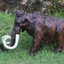 Mô phỏng thế giới động vật hoang dã Mô hình voi Mammoth Mô hình đồ chơi trẻ em Trang trí
