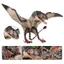 Trẻ em nhận thức kỷ Jura Mô phỏng Khủng long rắn Pterosaur Mô hình Phiên bản mới Đồ chơi Pterosaur Pterodactyl