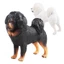Mô phỏng động vật hoang dã Đồ chơi trẻ em mô hình chó Tây Tạng Mastiffs tượng nhỏ sưu tầm đồ trang trí