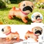 Cao su mềm chó động vật mô phỏng Golden Retriever Xúc xích VIP Bago Dalmatian Bulldog đầu xoay được