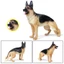 Mô phỏng tĩnh rắn động vật hoang dã mô hình lớn Đức Shepherd chó cưng trẻ em tượng đồ trang trí đồ chơi