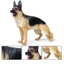 Mô phỏng tĩnh rắn động vật hoang dã mô hình lớn Đức Shepherd chó cưng trẻ em tượng đồ trang trí đồ chơi