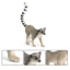 Trẻ Em Mô Phỏng Động Vật Hoang Dã Mô Hình Đồ Chơi Chắc Chắn Vòng-Tailed Lemur Primate Nhận Thức Quà Tặng Đồ Trang Trí
