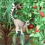 Trẻ Em Mô Phỏng Động Vật Hoang Dã Mô Hình Đồ Chơi Chắc Chắn Vòng-Tailed Lemur Primate Nhận Thức Quà Tặng Đồ Trang Trí
