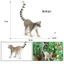 Trẻ Em Mô Phỏng Động Vật Hoang Dã Mô Hình Đồ Chơi Chắc Chắn Vòng-Tailed Lemur Primate Nhận Thức Quà Tặng Đồ Trang Trí