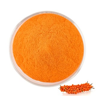 Bột trái cây hắc mai biển đông khô hữu cơ Bột trái cây hắc mai biển 100 /200g