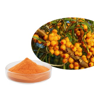 Bột trái cây hắc mai biển đông khô hữu cơ Bột trái cây hắc mai biển 100 /200g
