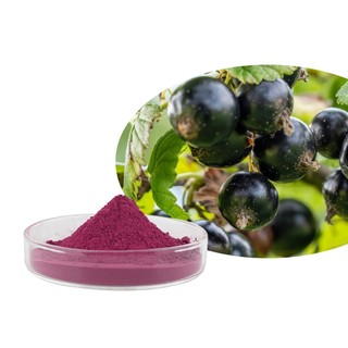 Chất Lượng Cao 100% Nước ép nho đen tự nhiên Bột trái cây nho đen Bột nho đen 500g / 1000g