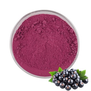 Chất Lượng Cao 100% Nước ép nho đen tự nhiên Bột trái cây nho đen Bột nho đen 500g / 1000g