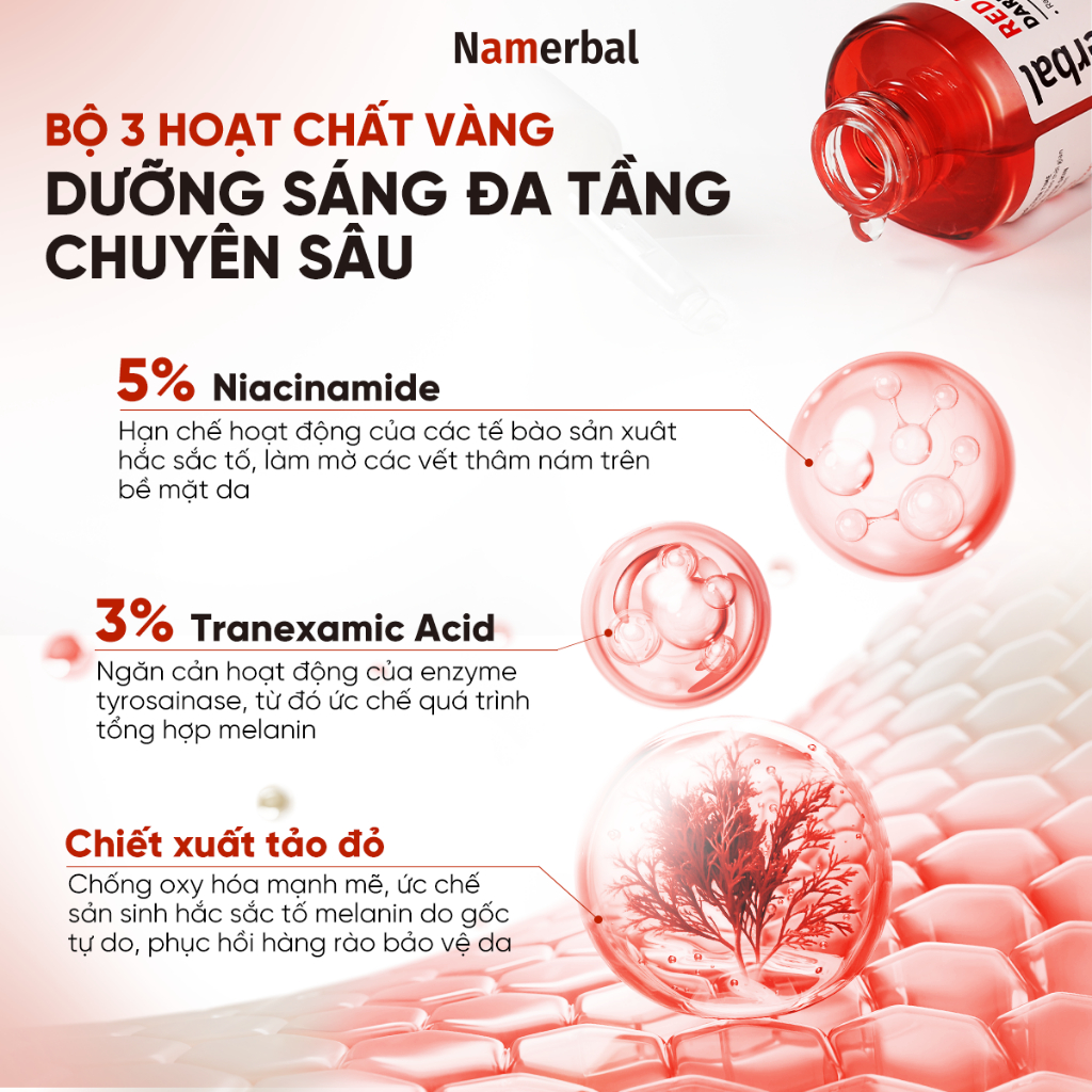 [LIVE] Serum Tảo Đỏ Namerbal Giúp Làm Sáng Da Và Làm Mờ Sẹo Mụn Astaxanthin + Niacinamide 5% + Axit Tranexamic 3% 30ml | BigBuy360 - bigbuy360.vn