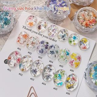Bột Opal Hoa Khô, Mảnh Óp Đổi Màu, Lấp Lánh Tơ Lụa, Mạng Che Mặt Đám Mây Tinh Tế Đồ Trang Trí Móng Tay Nghệ Thuật - Tưởng Tượng Cầu Vồng Rực Rỡ Cho Móng Tay Mơ Mộng