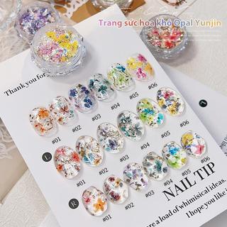 Bột Opal Hoa Khô, Mảnh Óp Đổi Màu, Lấp Lánh Tơ Lụa, Mạng Che Mặt Đám Mây Tinh Tế Đồ Trang Trí Móng Tay Nghệ Thuật - Tưởng Tượng Cầu Vồng Rực Rỡ Cho Móng Tay Mơ Mộng