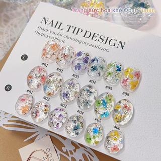 Bột Opal Hoa Khô, Mảnh Óp Đổi Màu, Lấp Lánh Tơ Lụa, Mạng Che Mặt Đám Mây Tinh Tế Đồ Trang Trí Móng Tay Nghệ Thuật - Tưởng Tượng Cầu Vồng Rực Rỡ Cho Móng Tay Mơ Mộng