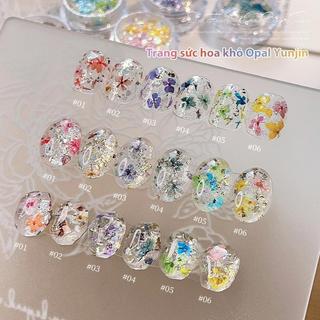 Bột Opal Hoa Khô, Mảnh Óp Đổi Màu, Lấp Lánh Tơ Lụa, Mạng Che Mặt Đám Mây Tinh Tế Đồ Trang Trí Móng Tay Nghệ Thuật - Tưởng Tượng Cầu Vồng Rực Rỡ Cho Móng Tay Mơ Mộng