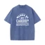 Áo Thun Nam Cotton Tee Mùa Hè, Tone MàuVintage, Cổ Tròn, Tay Ngắn