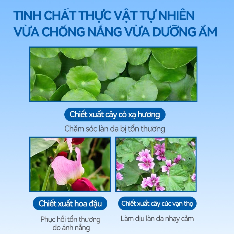 Kem chống nắng thể chất không chứa phụ gia FANCL 60ml Thích hợp cho da nhạy cảm và phụ nữ mang thai SPF50 + + +