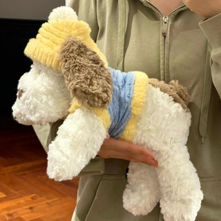 Đồ chơi sang trọng Puppy Ruby Siêu mềm Búp bê chó con dễ thương ngủ với Ragdoll