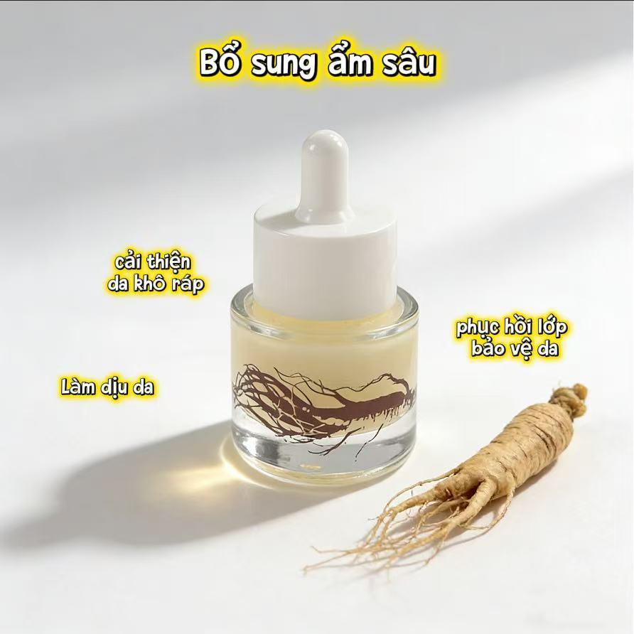 Tinh chất nhân sâm vàng chứa chiết xuất nhân sâm vàng, có tông màu da làm sáng da, cải thiện màu sắc và trì hoãn lão hóa da