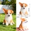 Corgi mô hình chó mô phỏng động vật rắn đồ chơi cho chó bắt nạt chó trẻ em quà tặng nhận thức màn hình thú cưng