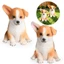 Corgi mô hình chó mô phỏng động vật rắn đồ chơi cho chó bắt nạt chó trẻ em quà tặng nhận thức màn hình thú cưng