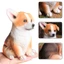 Corgi mô hình chó mô phỏng động vật rắn đồ chơi cho chó bắt nạt chó trẻ em quà tặng nhận thức màn hình thú cưng