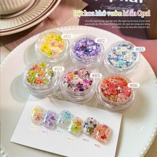 Miss Gooey Tự làm nghệ thuật vẽ móng: Bột nhũ hoa khô, nhũ lấp lánh, ánh cầu vồng, họa tiết mây cổ tích, trang trí móng tay
