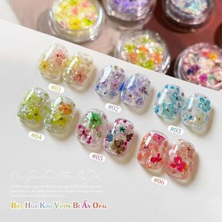 Miss Gooey Tự làm nghệ thuật vẽ móng: Bột nhũ hoa khô, nhũ lấp lánh, ánh cầu vồng, họa tiết mây cổ tích, trang trí móng tay