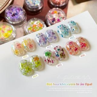 Miss Gooey Tự làm nghệ thuật vẽ móng: Bột nhũ hoa khô, nhũ lấp lánh, ánh cầu vồng, họa tiết mây cổ tích, trang trí móng tay