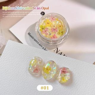Miss Gooey Tự làm nghệ thuật vẽ móng: Bột nhũ hoa khô, nhũ lấp lánh, ánh cầu vồng, họa tiết mây cổ tích, trang trí móng tay