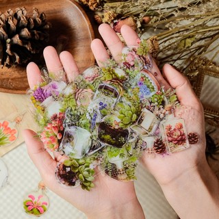 Bộ 50 Trong Suốt Hoa Xanh Thực Vật Miếng Dán Trang Trí Máy Tính Chống Thấm Nước PET Miếng Dán Đồ Chơi Trẻ Em