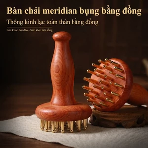 Máy massage bụng bằng đồng, đa chức năng, tiện lợi cho cạo gió, kèm bàn chải tĩnh mạch và kinh mạch.