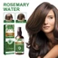 Eelhoe Rosemary Water Tăng cường tóc hàng ngày 30ml Xịt tăng trưởng tócVegan, Thuốc bổ da đầu chống suy giảm, Silicone & Paraben Free